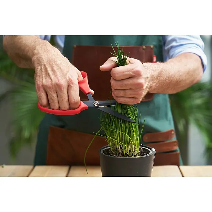 Felco Universalschere 455 - Länge: 28,5 cm - Nahaufnahme von Händen, die mit einer roten Schere Schnittlauch in einem schwarzen Topf schneiden, eine grüne Schürze tragend.