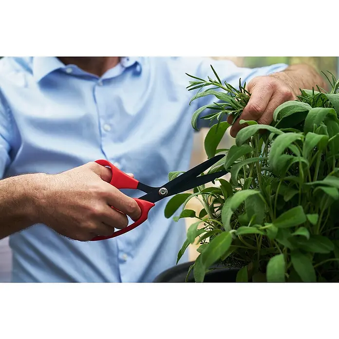 Felco Universalschere 455 - Länge: 28,5 cm - Mann schneidet Kräuter mit einer roten Gartenschere. Die Kräuterschere mit den scharfen Klingen ist ideal für den Kräutergarten.