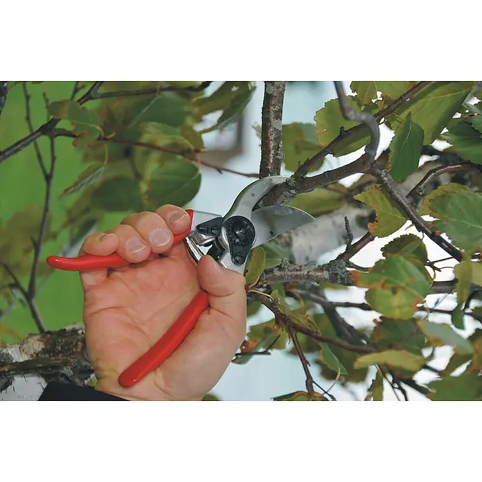 Felco Gartenschere 2 - Max. Aststärke: 25 mm - Gartenschere schneidet einen Ast.