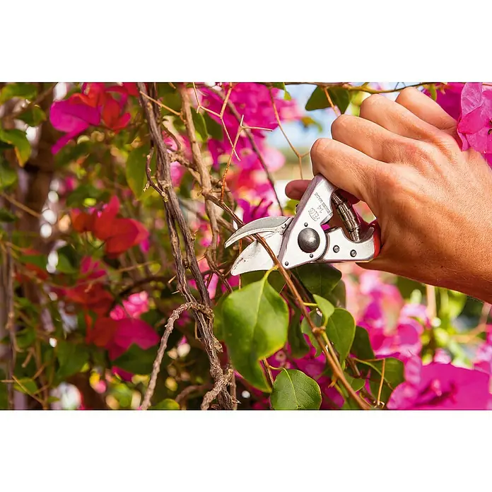 Felco Gartenschere 14 - Bypass, Max. Aststärke: 18 mm - Eine Hand schneidet einen Ast mit einer silbernen FELCO 14 Gartenschere vor dem Hintergrund von rosa Blüten.