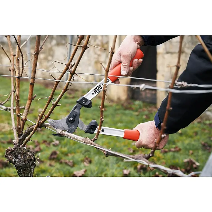 Felco Astschere 211-40 - Max. Aststärke: 35 mm, Länge: 40,5 cm - Nahaufnahme einer Person, die mit einer Felco-Baumschere einen Weinstock beschneidet, wobei die roten Griffe der Schere hervorstechen.