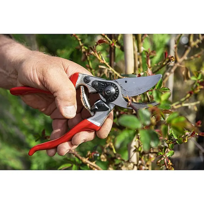 Felco Gartenschere 9 - Bypass, Max. Aststärke: 25 mm - Eine Hand hält eine Gartenschere mit roten Griffen, die bereit ist, einen Ast zu schneiden, um Pflanzen zu pflegen.