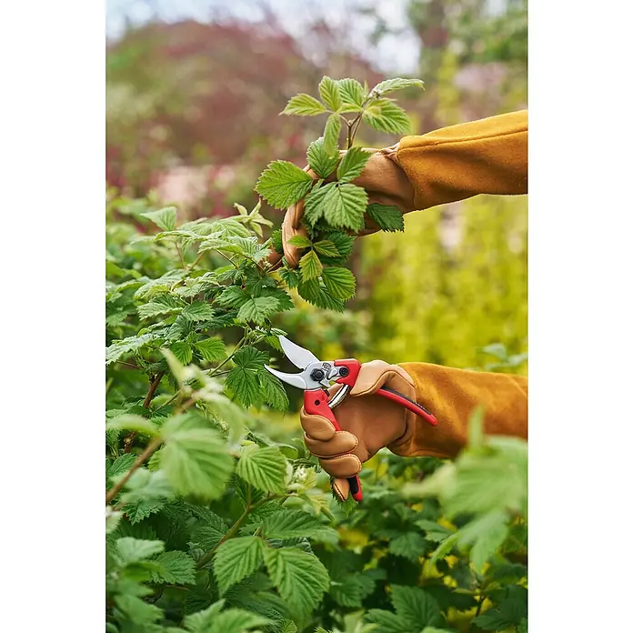 Felco Gartenschere 171M - Mittel - Max. Aststärke: 20 mm - Nahaufnahme einer Hand mit Gartenhandschuh, die mit einer roten Gartenschere einen grünen Zweig schneidet.