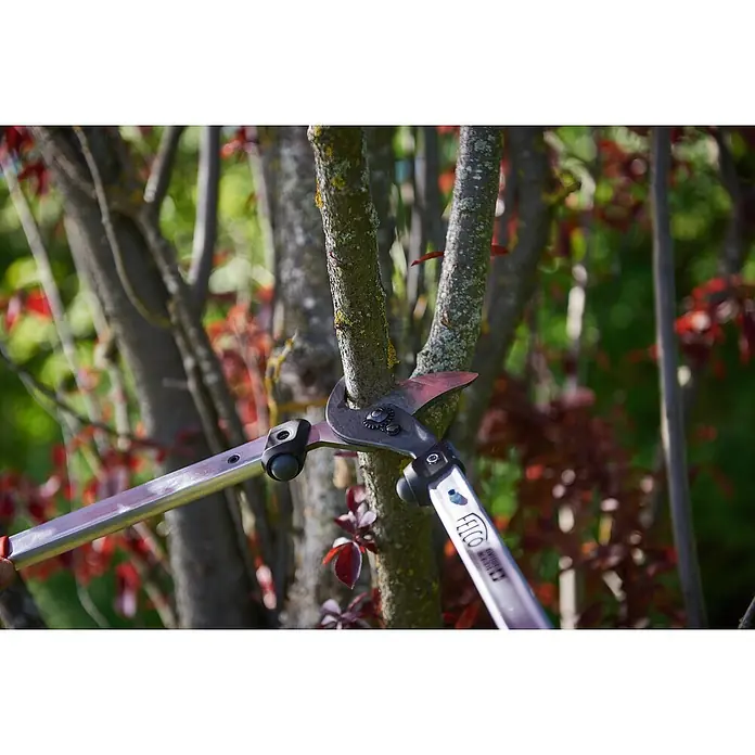 Felco Astschere 211-50 - Max. Aststärke: 35 mm, Länge: 50 cm - Baumschnitt mit einer Felco-Baumschere. Die robuste Schere schneidet einen Ast sauber ab, ideal für die Gartenarbeit.