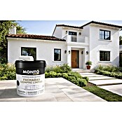 Montó Bricolovers Pintura para fachadas Siempre Limpias (Blanco, 15 l) | BAUHAUS