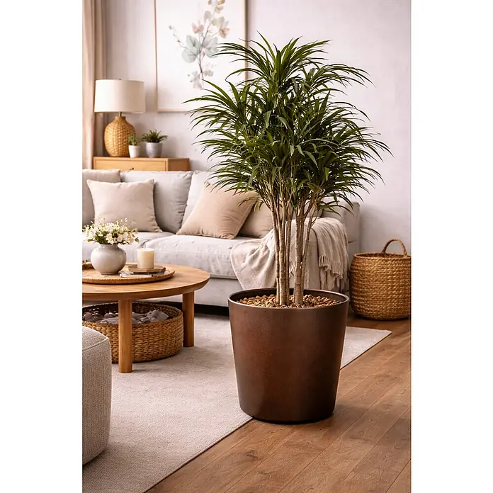 Maceta para planta Cometa - Dimensiones externas (Ø x Al): 15 x 14,5 cm, Cerámica, Marrón - Planta de interior en maceta. La planta está en una maceta marrón sobre una alfombra clara junto a un suelo de madera.