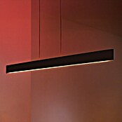 Philips Hue LED-Pendelleuchte White and Color Ambience Ensis (79 W, L x B x H: 129,9 x 4 x 157 cm, Schwarz, RGBW) | BAUHAUS