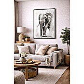 Lienzo Elefante (Elefante, An x Al: 50 x 70 cm) | BAUHAUS