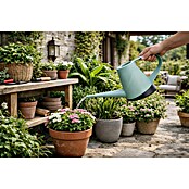 Geli Regadera Capri (Eucalipto, 1,3 l) | BAUHAUS