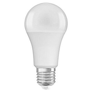Osram Bombilla LED (E27, No regulable, Blanco frío, 2.452 lm, 19 W)