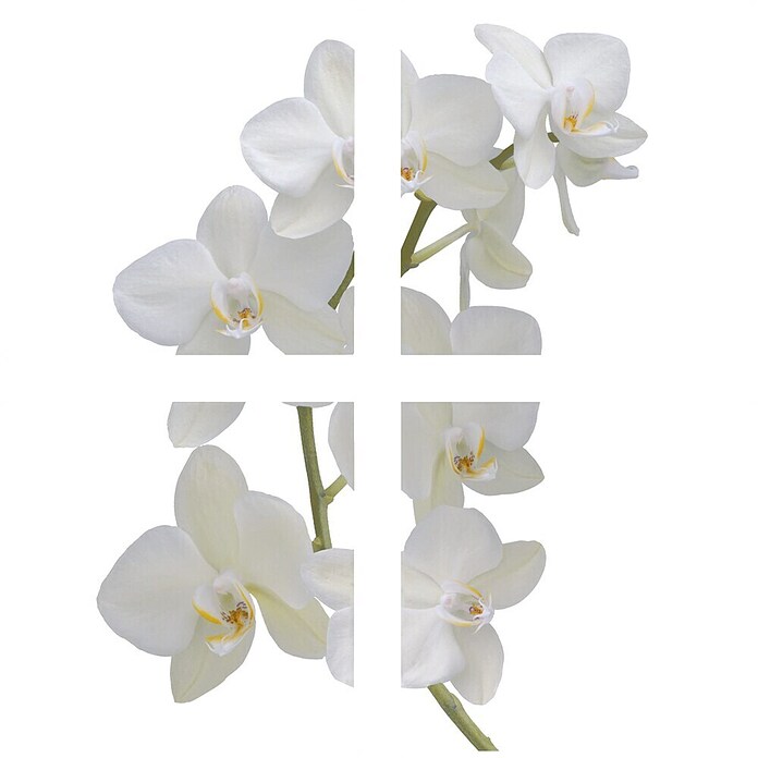 Vinilo para azulejos (Orquídea, 15 x 15 cm, 4 piezas)