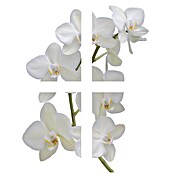 Vinilo para azulejos (Orquídea, 15 x 15 cm, 4 piezas)