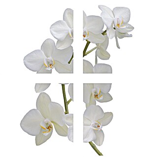 Vinilo para azulejos (Orquídea, 15 x 15 cm, 4 pzs.)