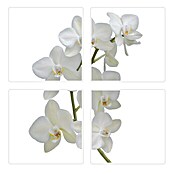 Vinilo para azulejos (Orquídea, 15 x 15 cm, 4 piezas)