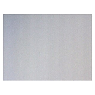 Bauallzweckplatte Fixmaß (Weiß, 1 200 x 600 x 3 mm)