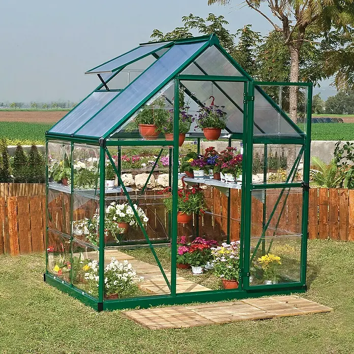 Palram – Canopia Gewächshaus Hybrid - Außenmaß inkl. Dachüberstand (B x T): 185 x 126 cm, 0,7 mm, Grün - Ein grünes Gewächshaus mit Pflanzen auf Regalen und Holzweg im Garten. Ideal für Hobbygärtner, die Pflanzen züchten möchten.