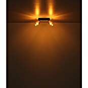Globo Deckenstrahler Hollsy (25 W, L x B x H: 250 x 80 x 182 mm, Goldfarben, Klar, Rauchfarben, Schwarz, E14) | BAUHAUS
