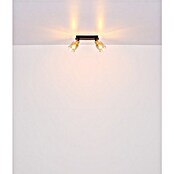 Globo Deckenstrahler Hollsy (25 W, L x B x H: 250 x 80 x 182 mm, Goldfarben, Klar, Rauchfarben, Schwarz, E14) | BAUHAUS