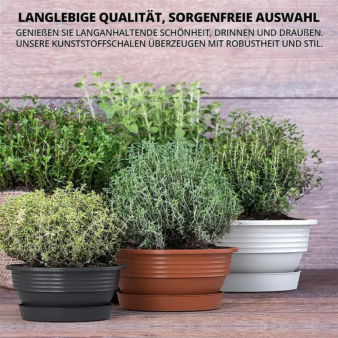 Große Pflanzschale 35 Cm - Viel Platz Für Deine Pflanzen
