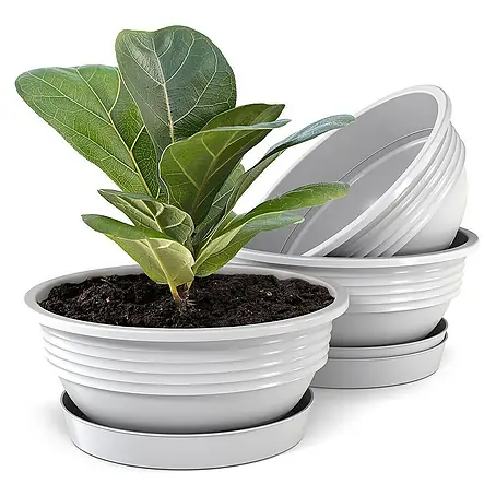 Plastard  Pflanzschale rund Milano 3er Set mit Untersetzer in Weiß – Blumenschale