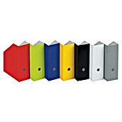 Nips Zeitschriftenbox (L x B x H: 26,5 x 10,5 x 31,5 cm, 5 Stk., Geeignet für: DIN A4, Lila)