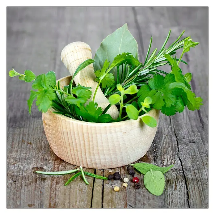 Glasbild - Green Basil In Bowl I, B x H: 30 x 30 cm - Kräutermörser-Set: Frische Kräuter wie Rosmarin, Salbei und Lorbeerblatt in einem hellen Holzmörser mit Stößel auf rustikalem Holztisch.