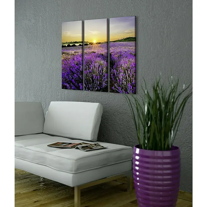 Glasbild - Beautiful Lavender, B x H: 90 x 80 cm, 3 -tlg. - Wandkunst mit Lavendelfeld-Motiv, ein dreiteiliges Leinwandbild, das über einem weißen Sofa mit Zeitschriften und neben einer lila Topfpflanze hängt.