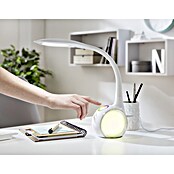 Globo Lámpara de sobremesa LED Tarron (1 x 5 W, Blanco, Blanco diurno, Altura: 53 cm)