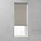 Expo Ambiente Zatemnitveni rolo Nicole  (Š x V: 60 x 190 cm) | 6443 - Textil-Rollos | HDDA - Fenster-Sonnenschutz | HDD - Sonnenschutz | HD - Ambiente | H - Innendeko/Farben | BAUHAUS