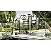 Vitavia Gewächshaus (3,21 x 2,57 x 2,46 m, Farbe: Smaragd, Polycarbonat, 6 mm)