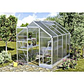 Vitavia Gewächshaus Apollo 5000 (2,61 x 1,95 x 2,07 m, Farbe: Aluminium, Polycarbonat, 4 mm)
