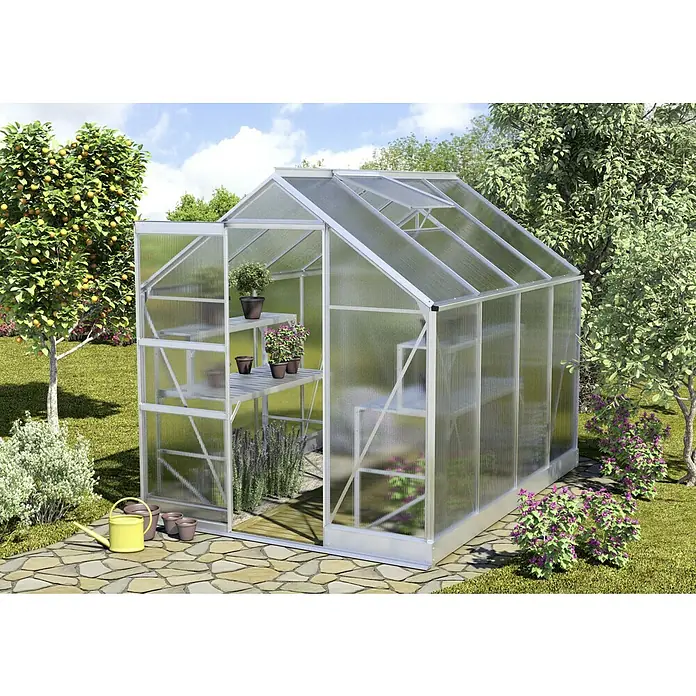 Vitavia Gewächshaus Apollo 5000 Plus - Außenmaß inkl. Dachüberstand (B x T): 195 x 261 cm, 6 mm, Aluminium - Bild eines Gewächshauses aus Aluminium und Polycarbonat mit Regalen und Pflanzen, das auf einem gepflasterten Gartenweg steht.