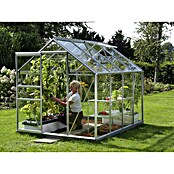 Vitavia Gewächshaus Venus 5000 (2,57 x 1,95 x 1,97 m, Farbe: Silbergrau, Einscheibensicherheitsglas (ESG), 3 mm)