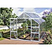 Vitavia Gewächshaus (4,45 x 2,57 x 2,3 m, Farbe: Aluminium, Einscheibensicherheitsglas (ESG), 3 mm)