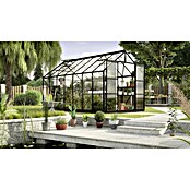 Vitavia Gewächshaus (4,45 x 2,57 x 2,46 m, Farbe: Schwarz, Einscheibensicherheitsglas (ESG), 3 mm)