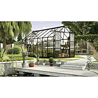 Vitavia Gewächshaus Uranus 11500 (Außenmaß inkl. Dachüberstand (B x T): 257 x 445 cm, 3 mm, Schwarz)