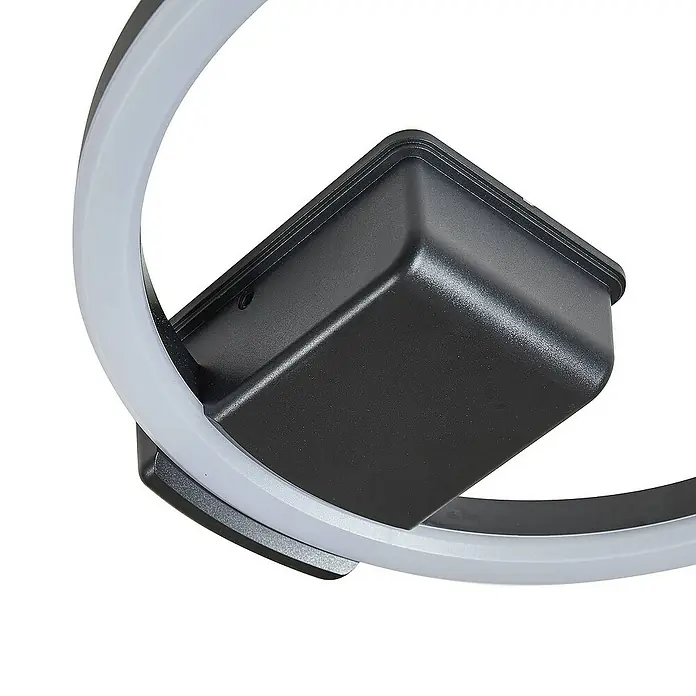 Lindby Außenwand- & Deckenleuchte Finian - schwarz, IP54