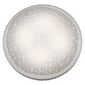 Paul Neuhaus LED stropna svetilka Frida  (36 W, Do x Š x V: 600 x 600 x 110 mm, Toplo bela) | 3016 - Deckenleuchte | CACB - Deckenleuchten | CAC - Indoorleuchten | CA - Beleuchtung | C - Elektro | BAUHAUS