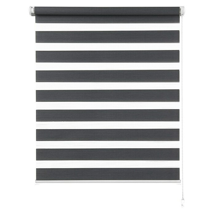 Expo Ambiente Doppelrollo Mini (B x H: 60 x 150 cm, Grau)
