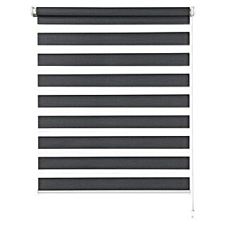 Expo Ambiente Doppelrollo Mini (B x H: 45 x 150 cm, Grau)