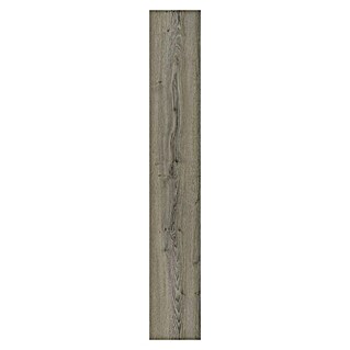 Laminado Roble Gris (AC5, 1.200 x 196 x 8 mm, Efecto madera, Roble Gris)