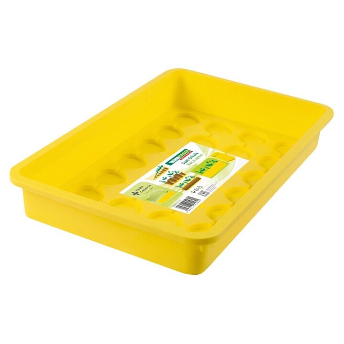 Windhager Kweekschaal (38 x 24 x 6 cm, Geel)