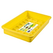 Windhager Kweekschaal (38 x 24 x 6 cm, Geel)