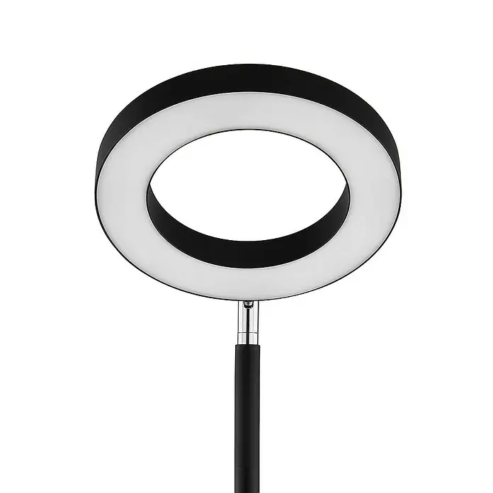 Lindby Stehleuchte Cilian - Höhe: 168 cm, schwarz, schwarz