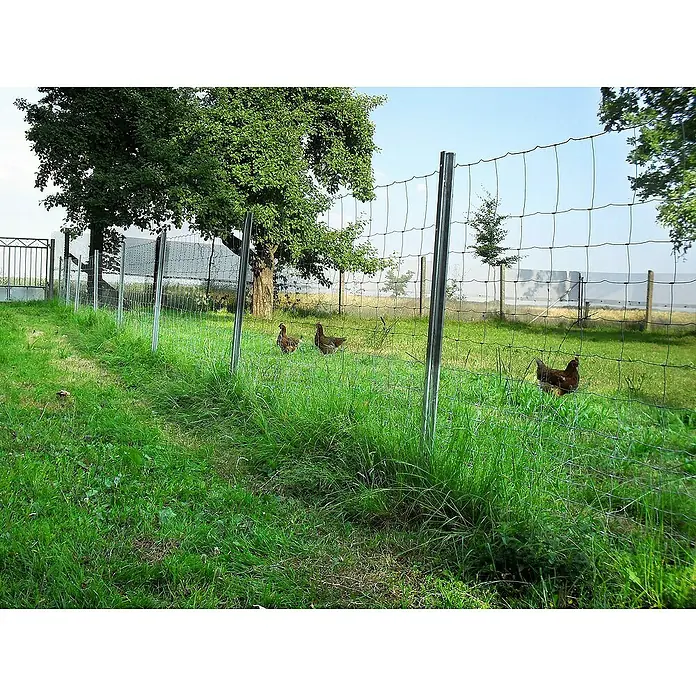 150m Wildzaun Forstzaun Weidezaun Knotengeflecht 80/6/15S Pfosten Spanndraht 150m Wildzaun Forstzaun Weidezaun Knotengeflecht 80/6/15S Pfosten Spanndraht