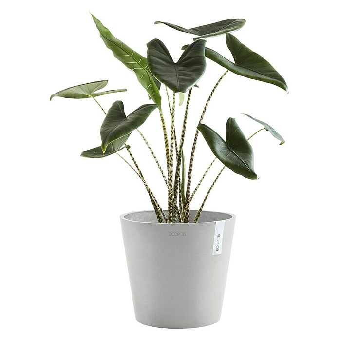 Ecopots Amsterdam Pflanzkübel rund (Außenmaß (Ø x H): 40 x 34,8 cm, Kunststoff, Weißgrau, Mit Bewässerungssystem) | BAUHAUS
