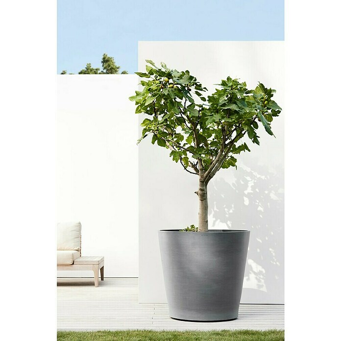 Ecopots Amsterdam Pflanzkübel rund Wheels (Außenmaß (Ø x H): 80 x 74,2 cm, Kunststoff, Grau, Ausstattung Pflanzgefäß: Rollen) | BAUHAUS