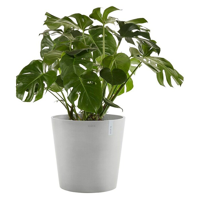 Ecopots Amsterdam Pflanzkübel rund (Außenmaß (Ø x H): 50 x 44,3 cm, Kunststoff, Weißgrau, Mit Bewässerungssystem) | BAUHAUS