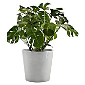 Ecopots Amsterdam Pflanzkübel rund (Außenmaß (Ø x H): 50 x 44,3 cm, Kunststoff, Weißgrau, Mit Bewässerungssystem) | BAUHAUS