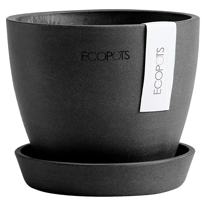 Ecopots Pflanztopf Antwerpen Mini - Außenmaß (Ø x H): 11,5 x 10,1 cm, Kunststoff, Dunkelgrau - Ein schwarzer, runder Ecopots Blumentopf mit passender Untertasse, der durch sein schlichtes Design besticht. Ideal für Pflanzenliebhaber.
